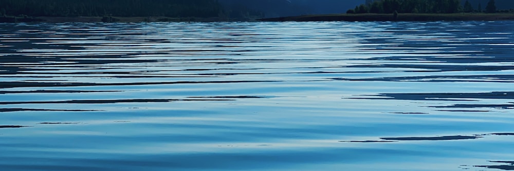 calm water photograph