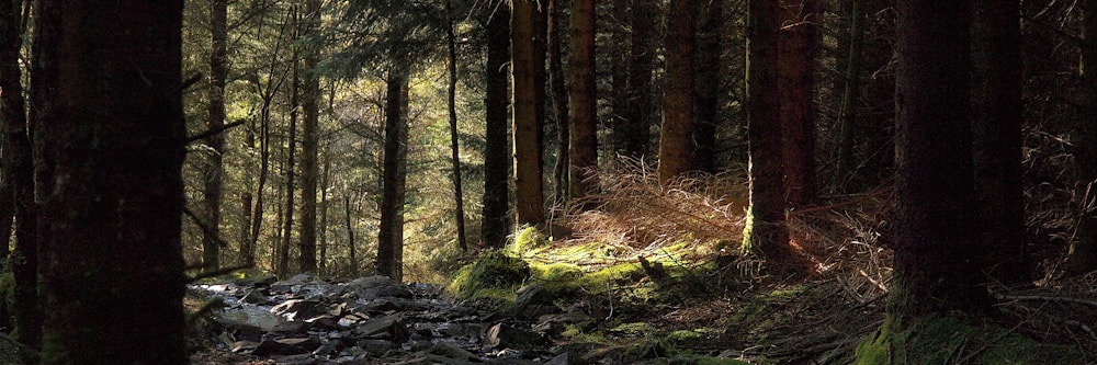 10 Things the Bible Says That Might Surprise You