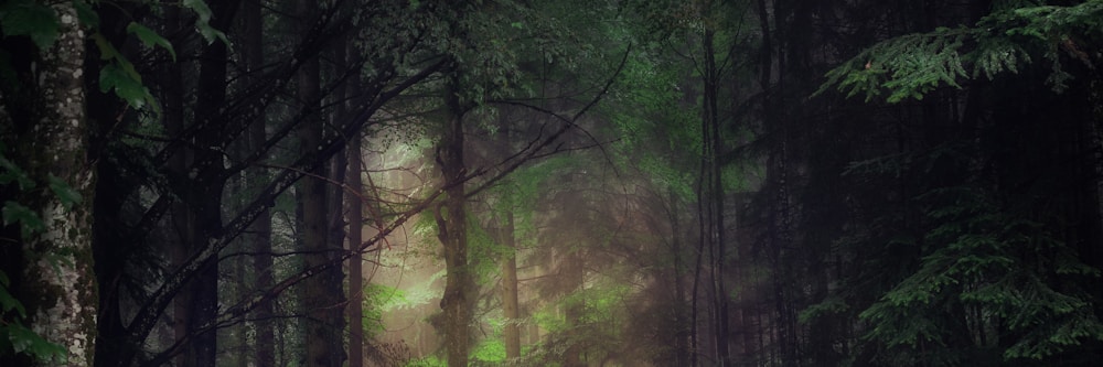 How Do I Know If I'm Really Saved? Dealing with Salvation Anxiety