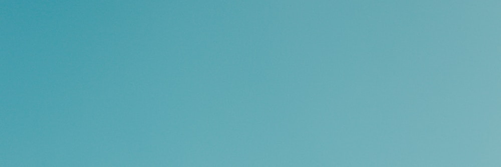 birds flight photograph