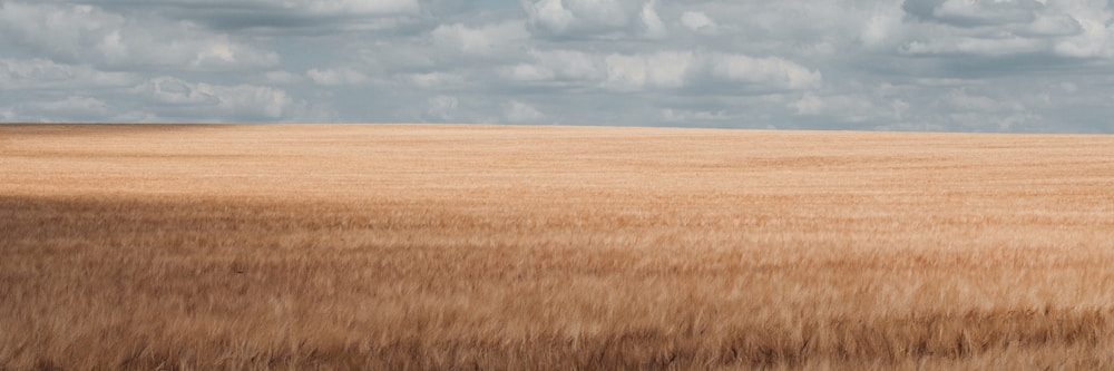 What the Bible Says About Depression (and the 10 Verses That Actually Help)
