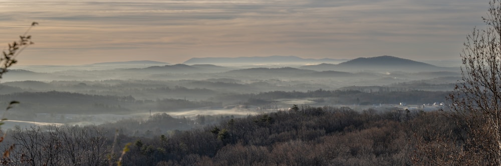 quiet valley photograph